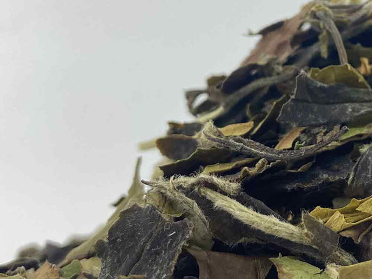 Pai Mu Tan - Biela pivónia. 50 gr